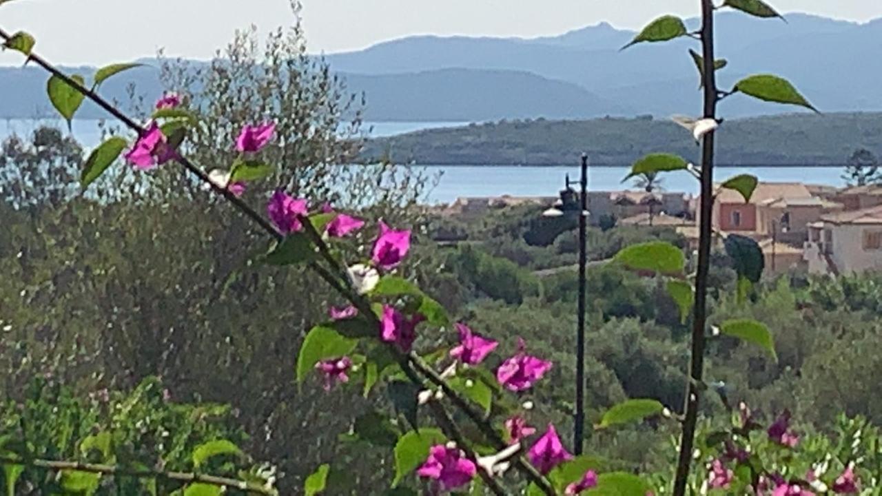 Ferienhaus Casa Adelaide, Oasi Di Pace Con Vista Mare Olbia