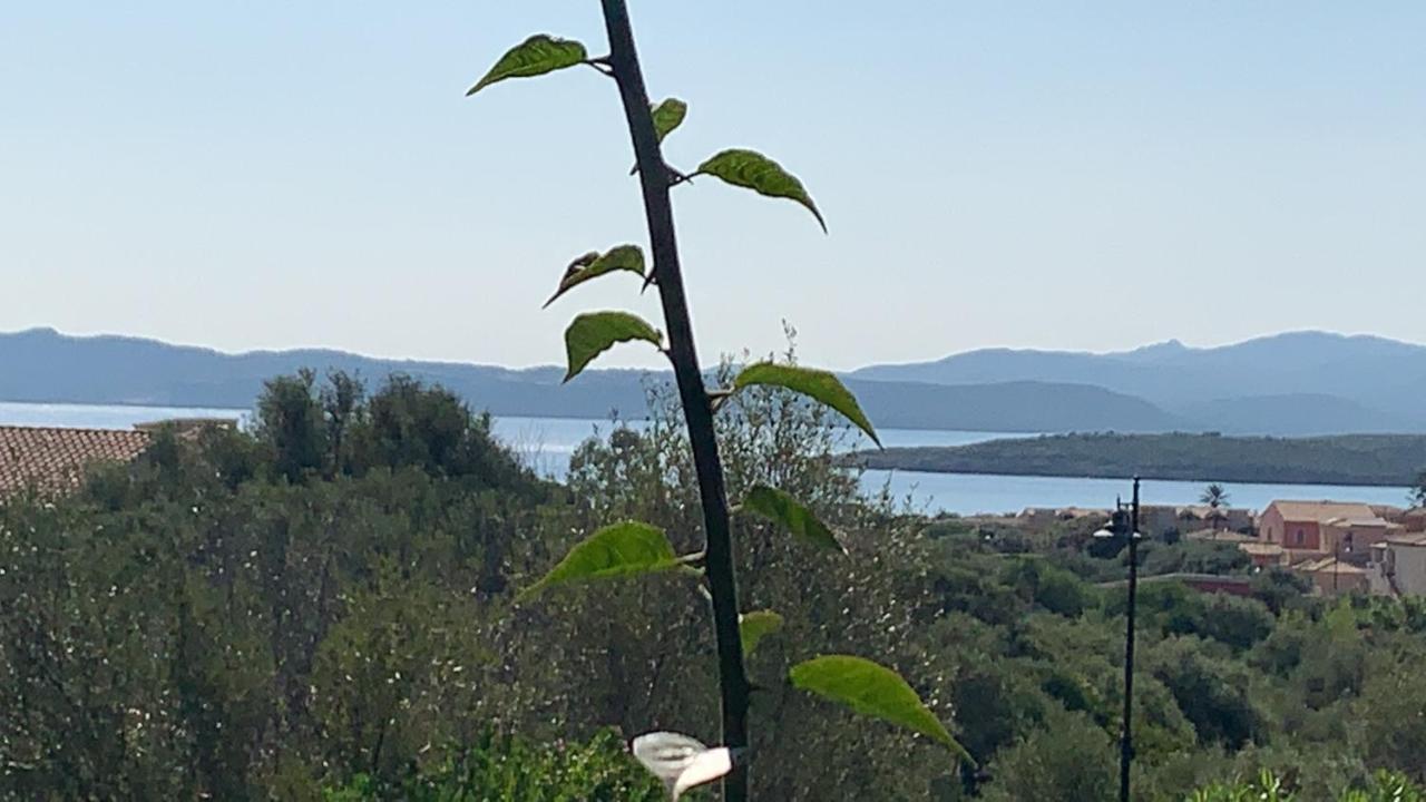 Casa Adelaide, Oasi Di Pace Con Vista Mare *